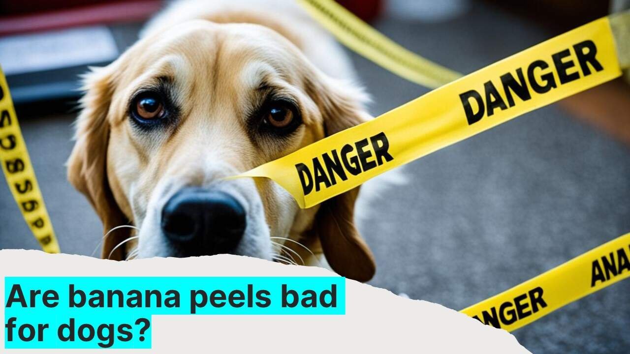 Are banana peels bad for dogs?