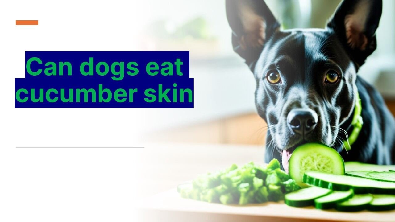 Can dogs eat cucumber skin safely? Find out now!