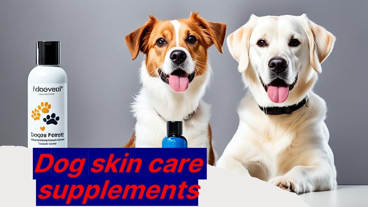 Best Dog Skin Care Supplements for Healthy Fur