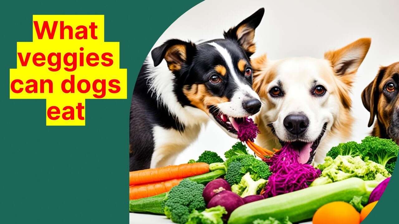 What veggies can dogs eat? A Deep Dive - DogiBiz